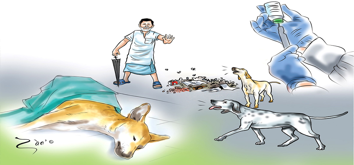 रेबिजविरुद्ध सचेतना र रोकथाम