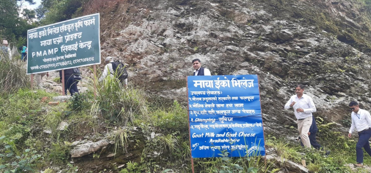 कृषि सिकाइको पाठशाला बन्दै ‘माया इको भिलेज एकीकृत कृषि फार्म’