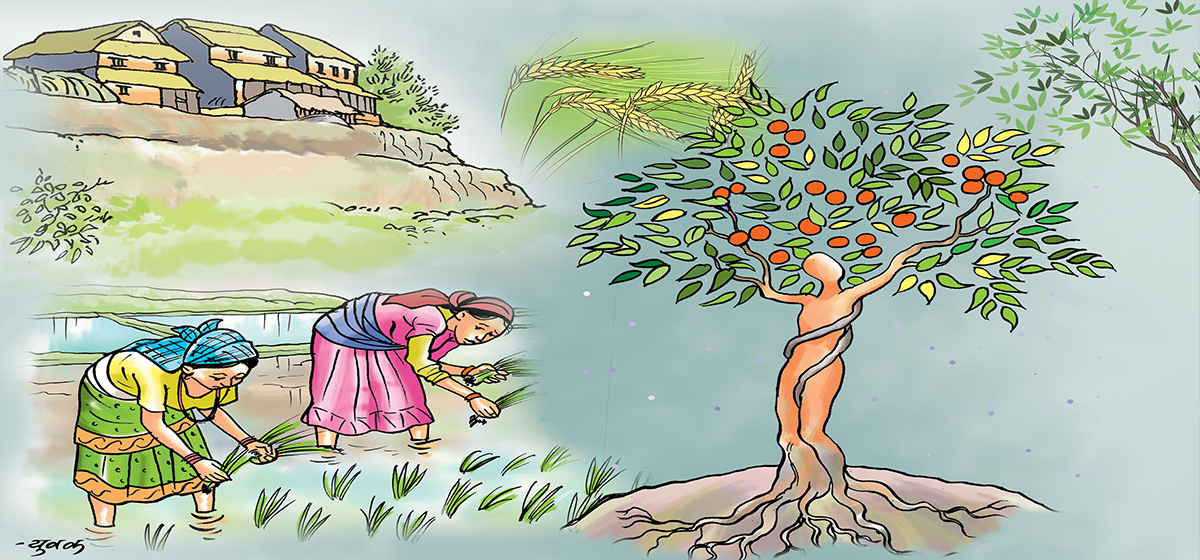 जैविक क्रान्तिकाे आवश्यकता