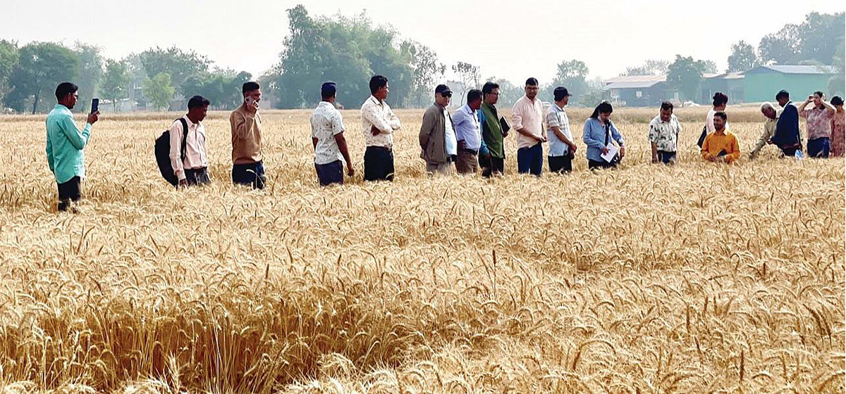 ३९ अर्ब ५८ करोड खर्च २३ लाख बढी रोजगारी सिर्जना