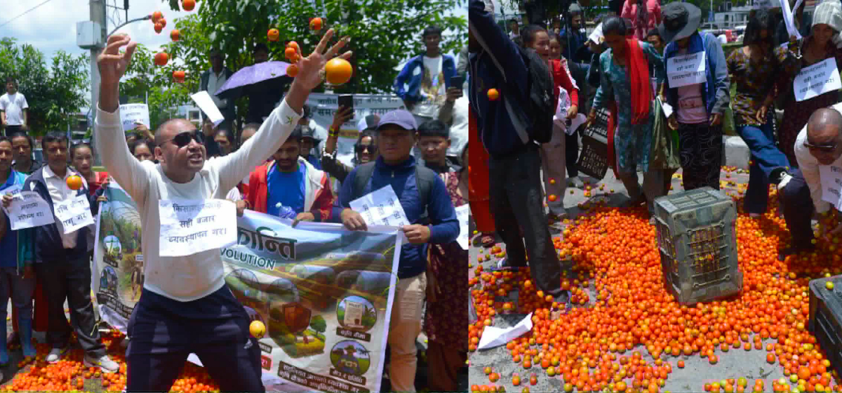 माइतीघरमा गोलभेँडा फालेर आन्दोलन (तस्बिरहरु)