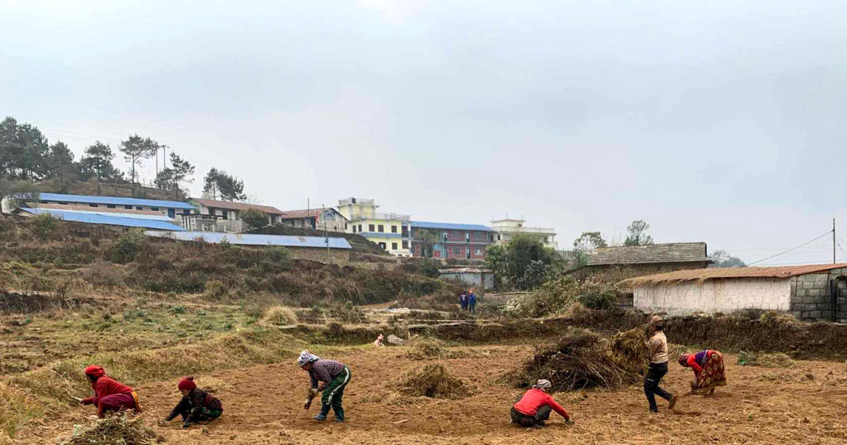 बाँझो जमिनमा खेती गराउँदै कुश्मा नगरपालिका