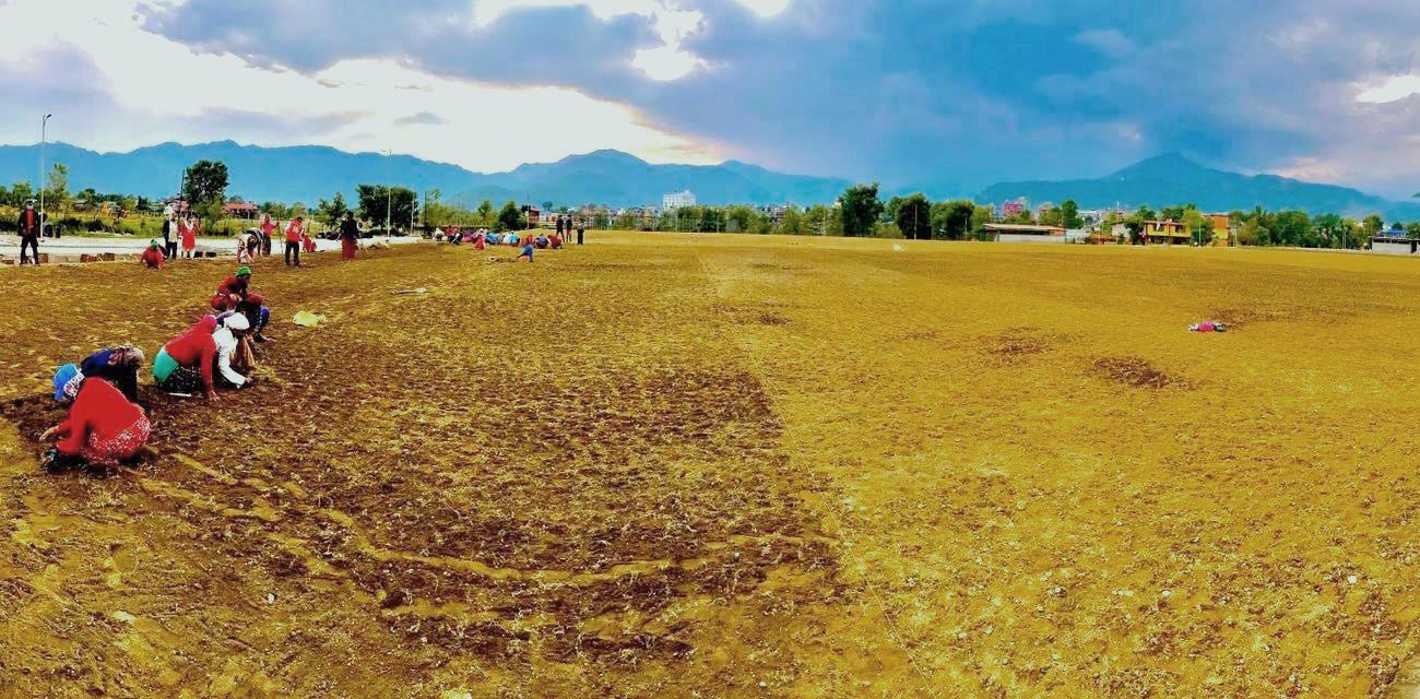 खेलकुद पूर्वाधार निर्माण धमाधम