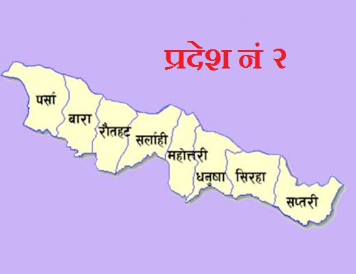 प्रदेश नं २ मा सिरहाबाहेक सबै जिल्लामा संक्रमण पुष्टि