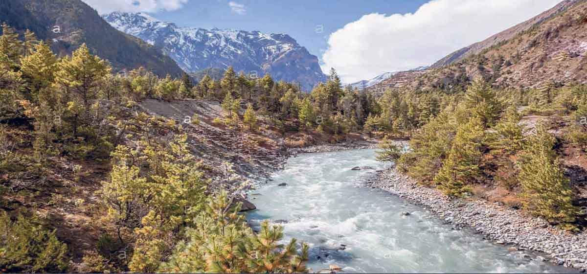 पिपिएमा नयाँ शैली