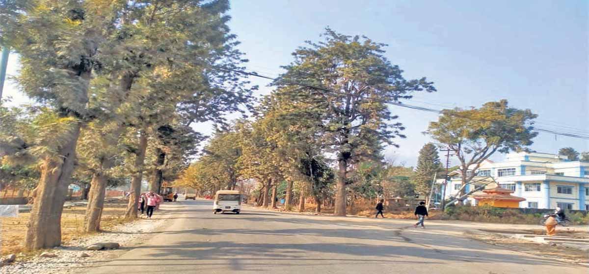 सडक पूर्वाधारले फेरिँदै वीरेन्द्रनगर