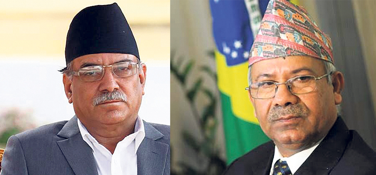 फेरि आयोग पुग्यो दाहाल–नेपाल समूह