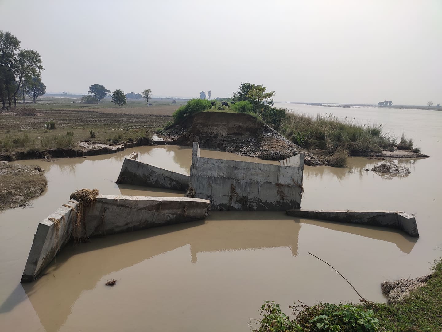 कैलालीको बाढी प्रभावित क्षेत्र (फोटोफिचर)