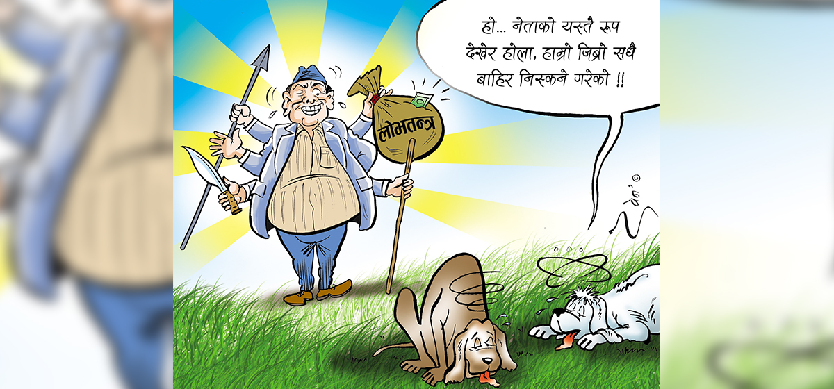 बाइरोडको बाटोमा: लोकतन्त्रमा मौलाएको लाजतन्त्र