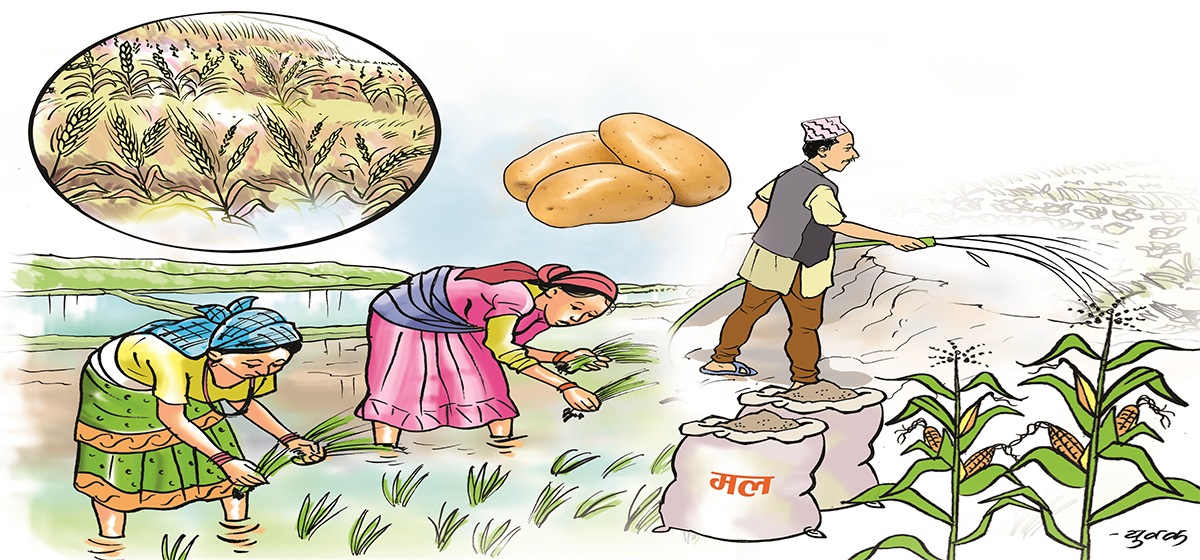 खाद्य प्रणाली सम्मेलनको पाठ