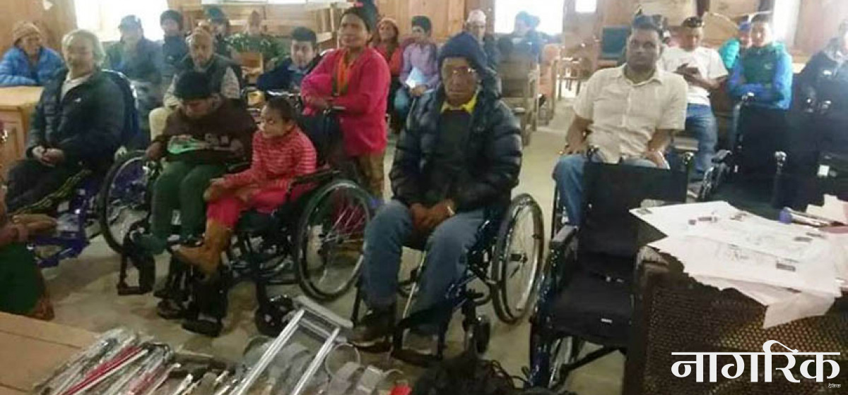 अपांगतालाई गम्भीर जनस्वास्थ्य समस्यामा राख्न सुझाव