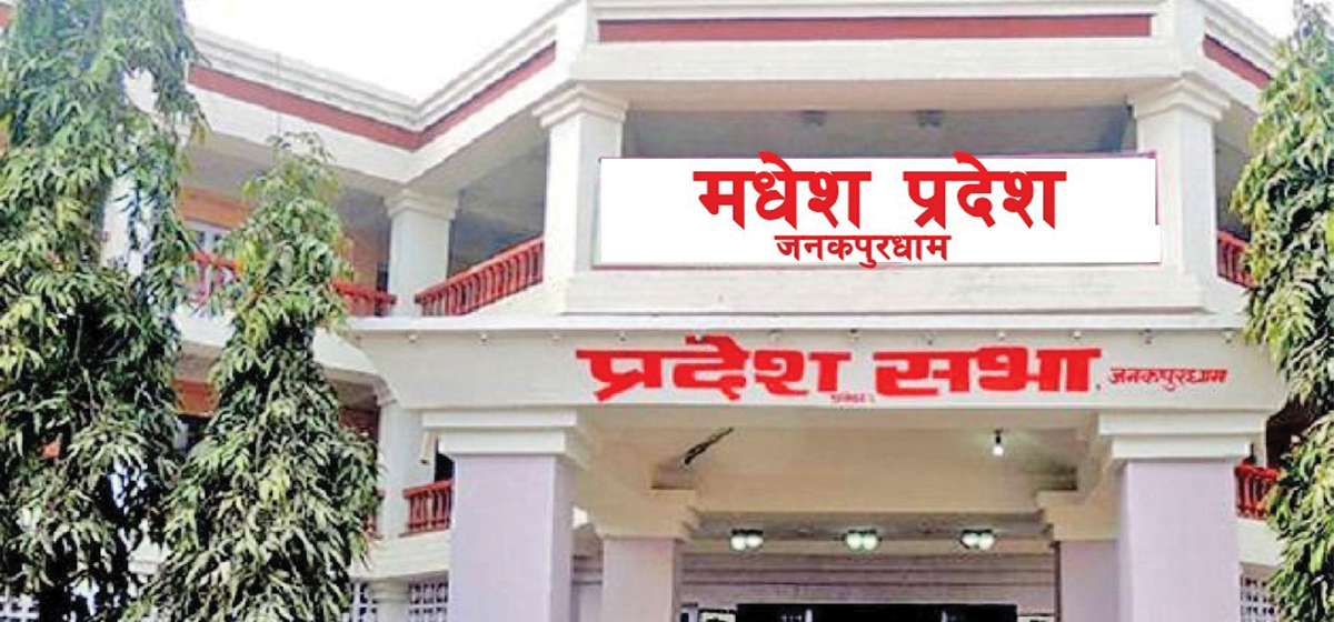 अनुदानमा पनि अनियमितता