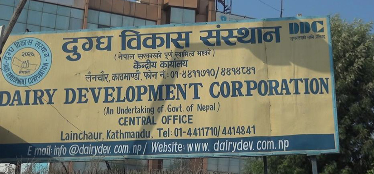 दुग्ध विकास संस्थानद्धारा चाडपर्वका अवसरमा उपभोक्तालाई छुट