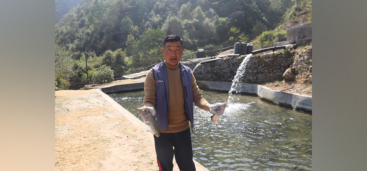 व्यवसाय प्रवर्द्धनबाट आर्थिक प्रगति गर्दै तुलबहादुर
