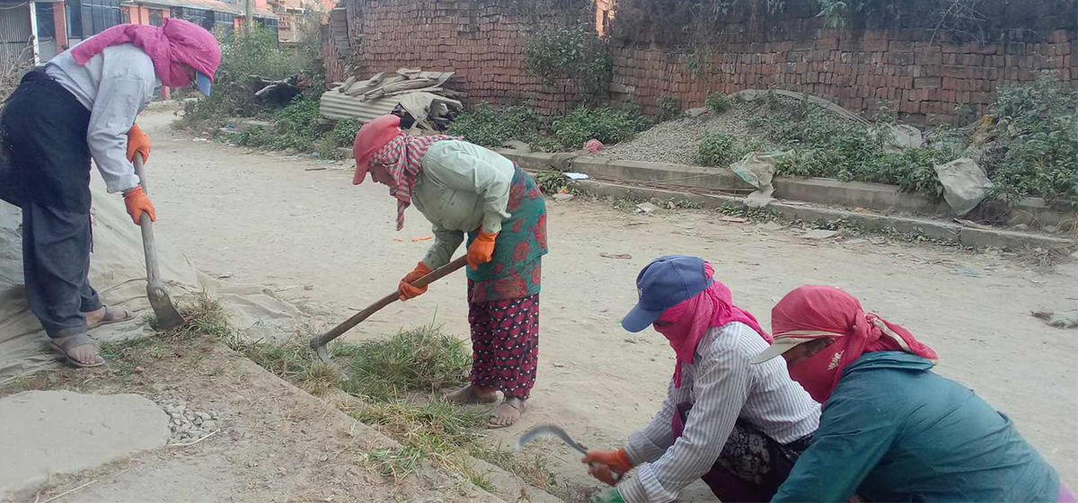 प्रधानमन्त्री रोजगार कार्यक्रम : जमुनाहरूको बाँच्ने आधार