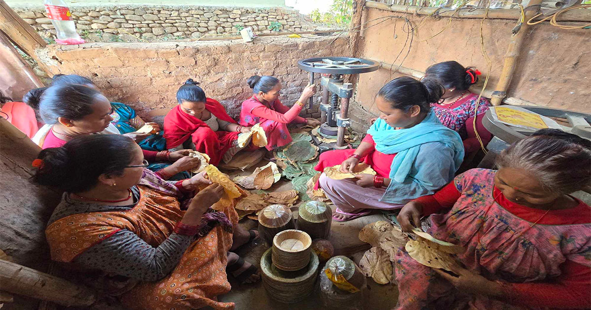 दुनाटपरी उद्योगबाट राम्रो आम्दानी गर्दै  चौधरी दम्पती